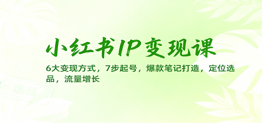 小红书IP变现课：6大变现方式，7步起号，爆款笔记打造，定位选品，流量增长-大甫网创-助力打造属于自己的超级个体-甫仁小站